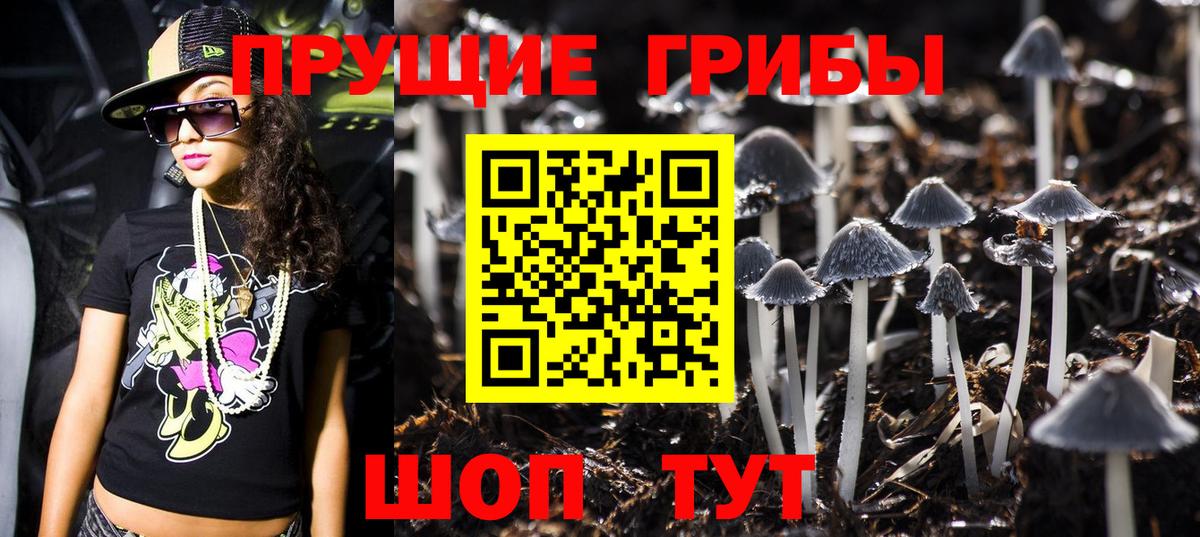 Качканар  Псилоцибиновые грибы Magic Shrooms  цены   Галлюциногенные грибы мицелий  Вход с VPN 